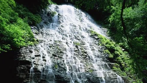 工业节能数字化